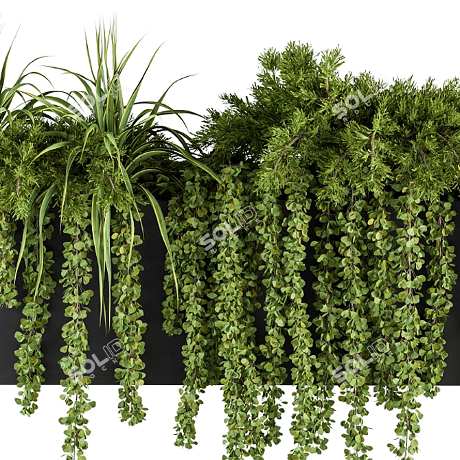 Botanical Box: Hanging Indoor Plant Set 3D model image 4