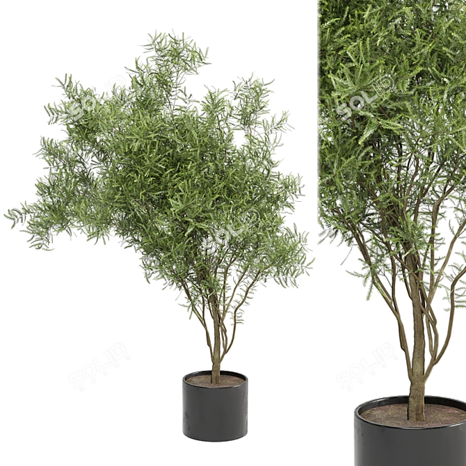  Indoor Greenery: Ferm Living Bau Pot Large - Set 140 3D model image 1