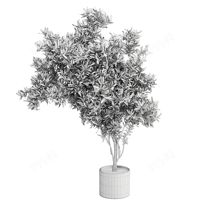  Indoor Greenery: Ferm Living Bau Pot Large - Set 140 3D model image 4