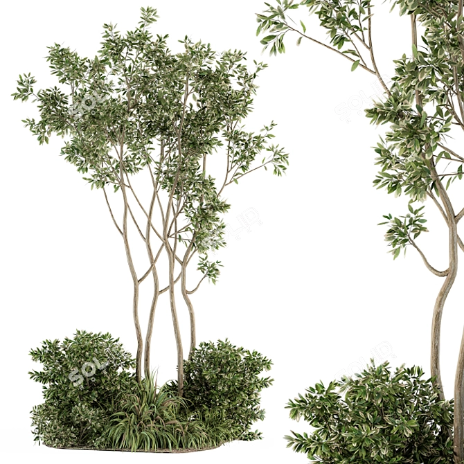 Outdoor Greenery Set | 330 Plant Varieties 3D model image 1