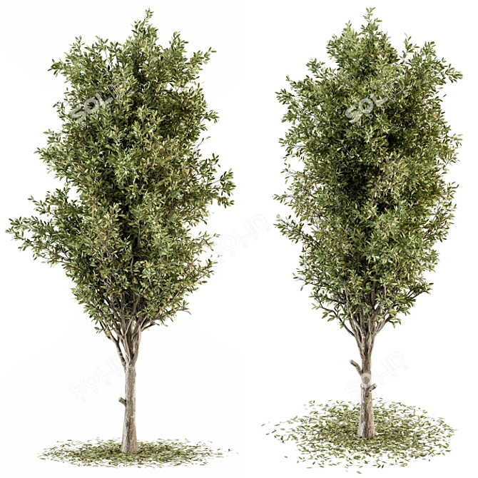 Lush Greenery Set - 60 Pieces 3D model image 1