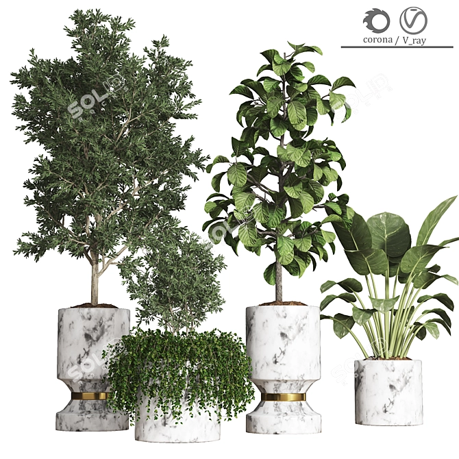 Premium Plant Collection 08 3D model image 1