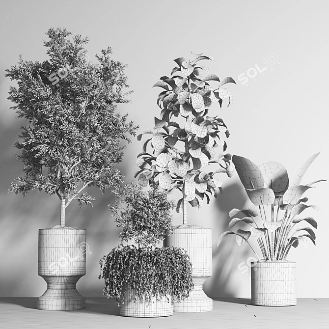 Premium Plant Collection 08 3D model image 4