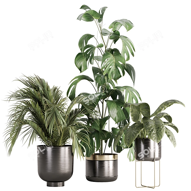 Green Oasis Indoor Plant Set 3D model image 1