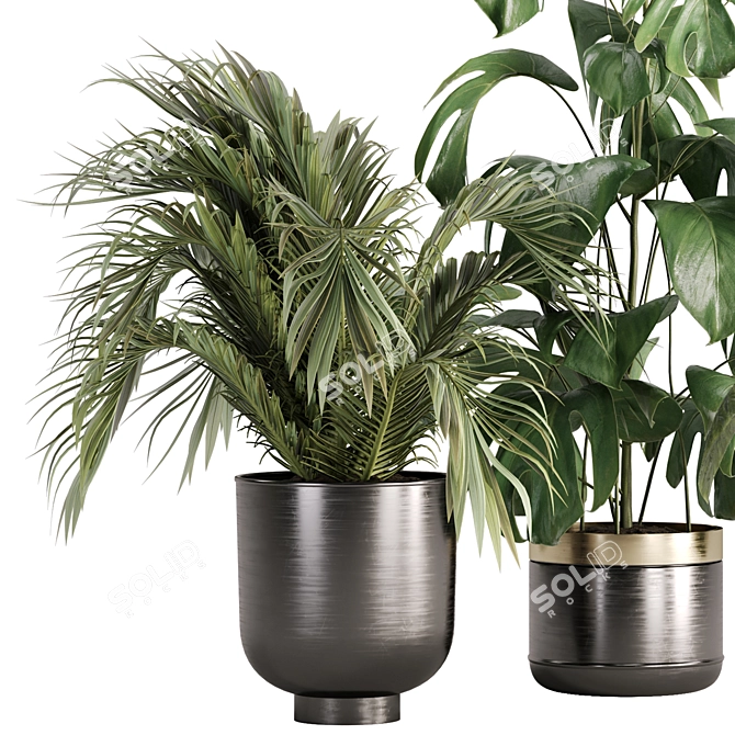 Green Oasis Indoor Plant Set 3D model image 2