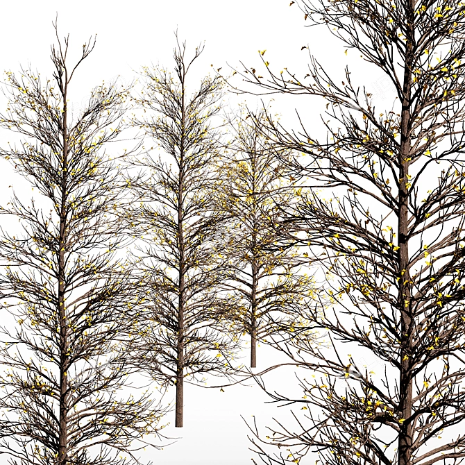 Winter Wonderland Tree - Realistic Acer Buergerianum Beauty 3D model image 3