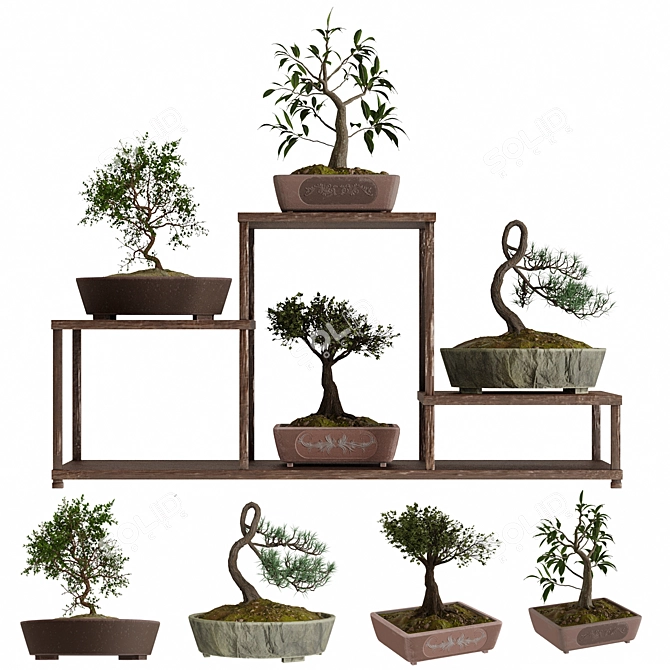 Pristine Bonsai Set: 4 Tree Types 3D model image 1