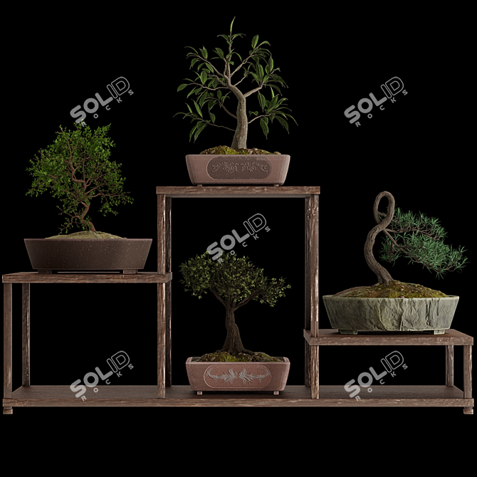 Pristine Bonsai Set: 4 Tree Types 3D model image 2