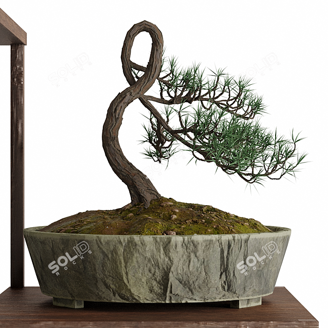 Pristine Bonsai Set: 4 Tree Types 3D model image 3