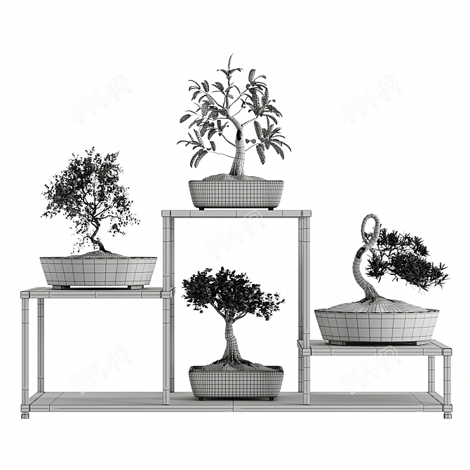 Pristine Bonsai Set: 4 Tree Types 3D model image 5