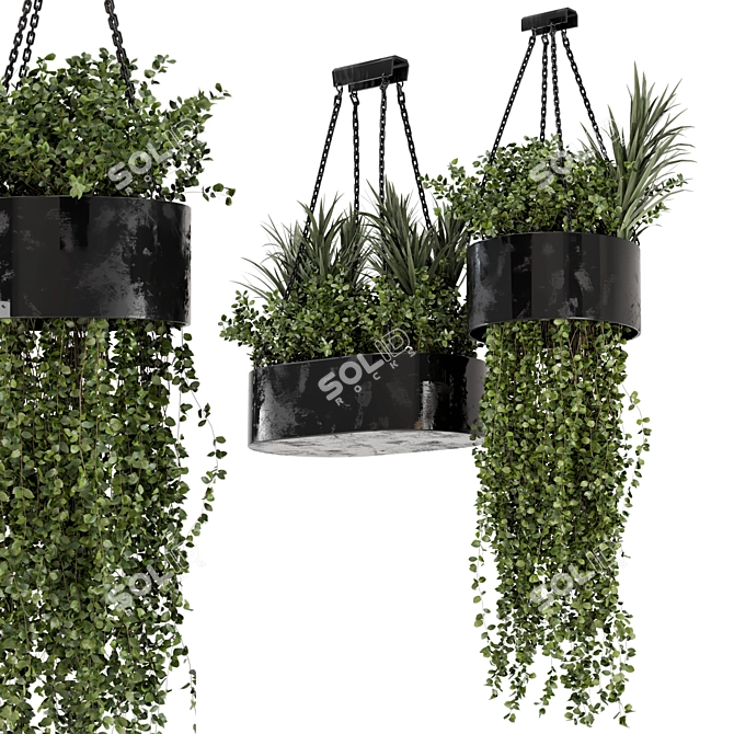 Indoor Hanging Plants Set in Metal Box 3D model image 1