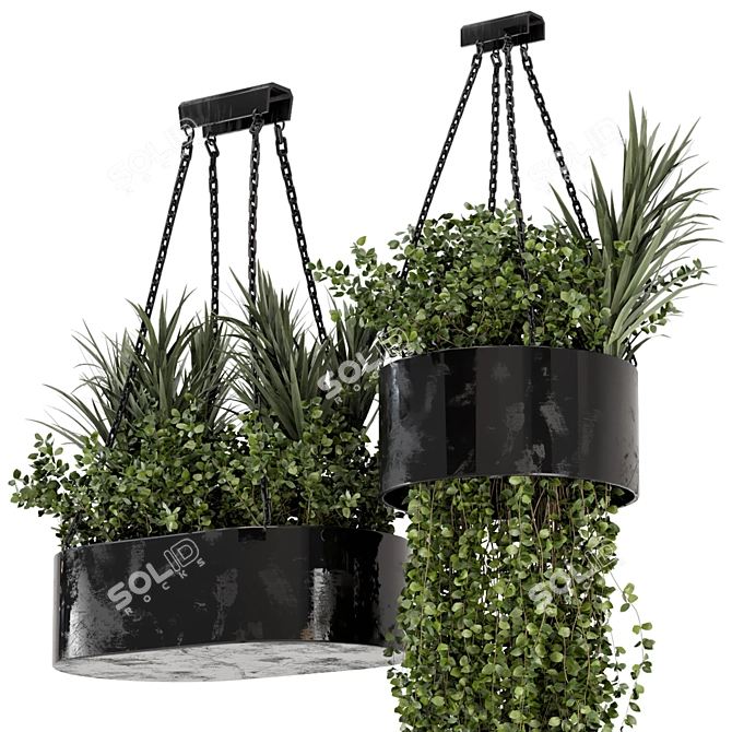 Indoor Hanging Plants Set in Metal Box 3D model image 3