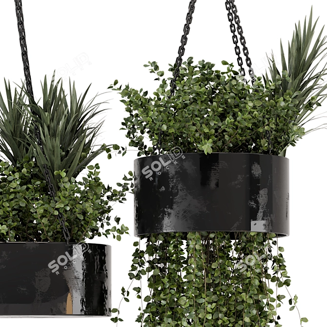 Indoor Hanging Plants Set in Metal Box 3D model image 5