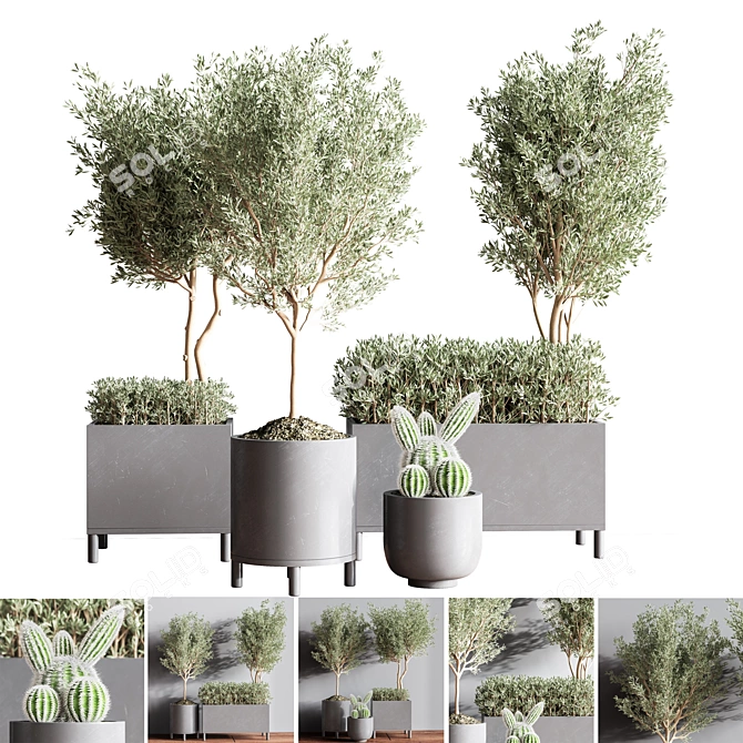 Premium Indoor Plant Set 3D model image 1