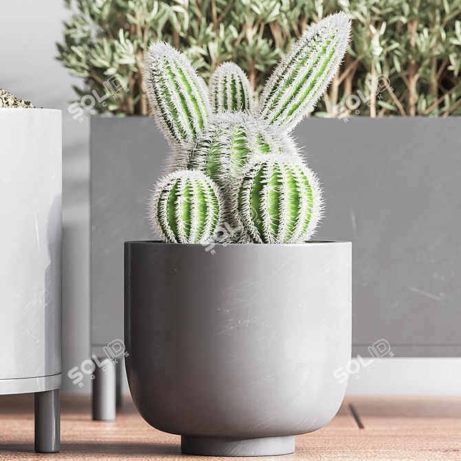 Premium Indoor Plant Set 3D model image 3