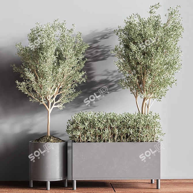 Premium Indoor Plant Set 3D model image 4