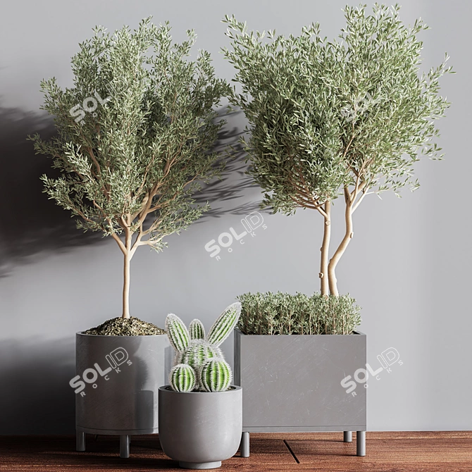 Premium Indoor Plant Set 3D model image 5