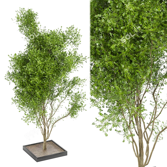 Bountiful Outdoor Plant Collection 3D model image 2