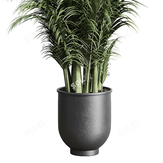Concrete Palm Pot - Indoor Plant Vase 3D model image 2