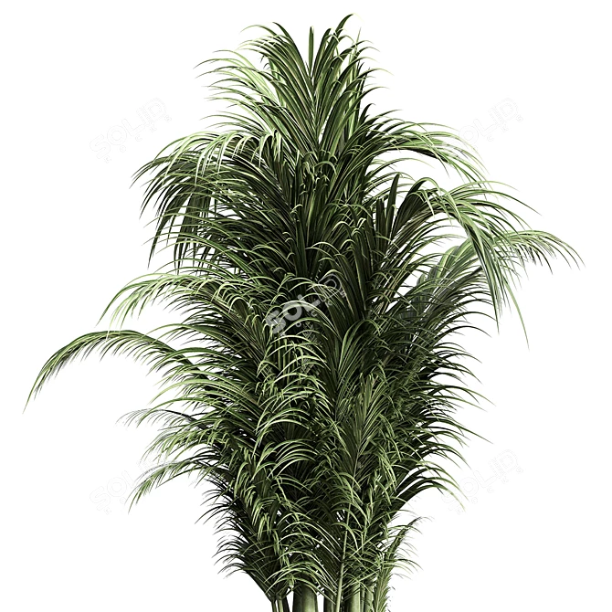 Concrete Palm Pot - Indoor Plant Vase 3D model image 3