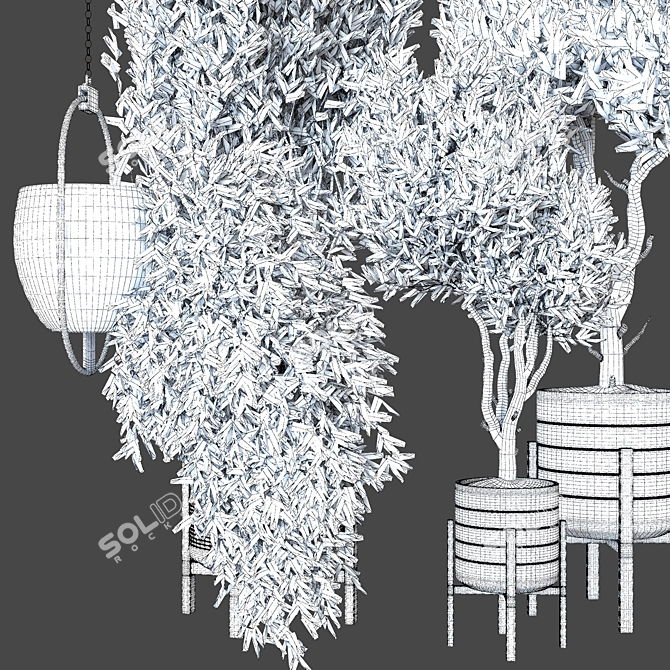 Indoor Plant Vol. 25 - Exquisite Greenery 3D model image 3
