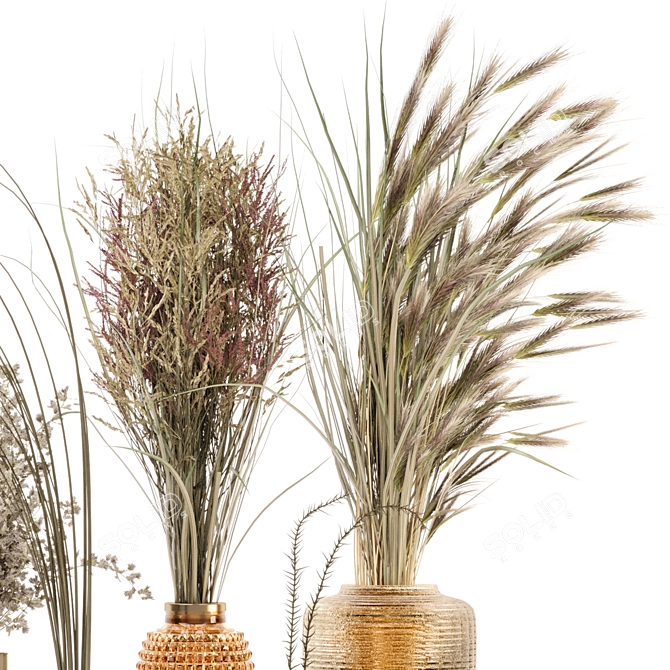 Elegant Dry Plants Bouquet Set 3D model image 4