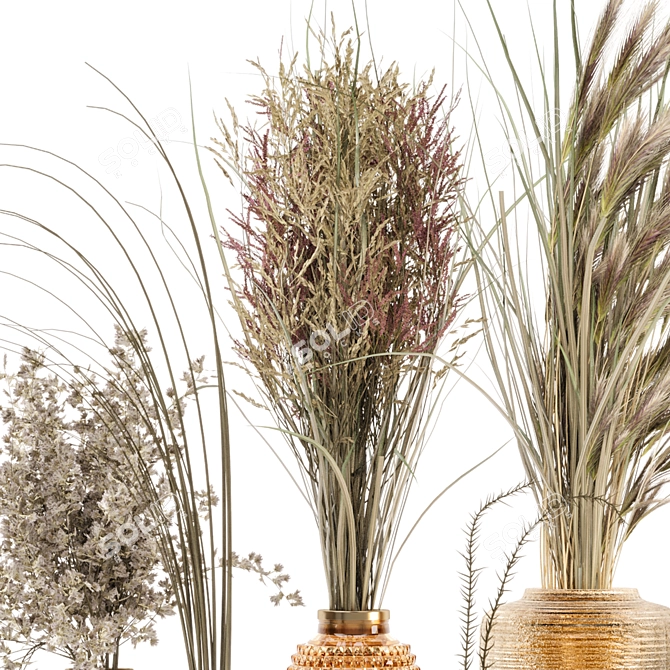 Elegant Dry Plants Bouquet Set 3D model image 6