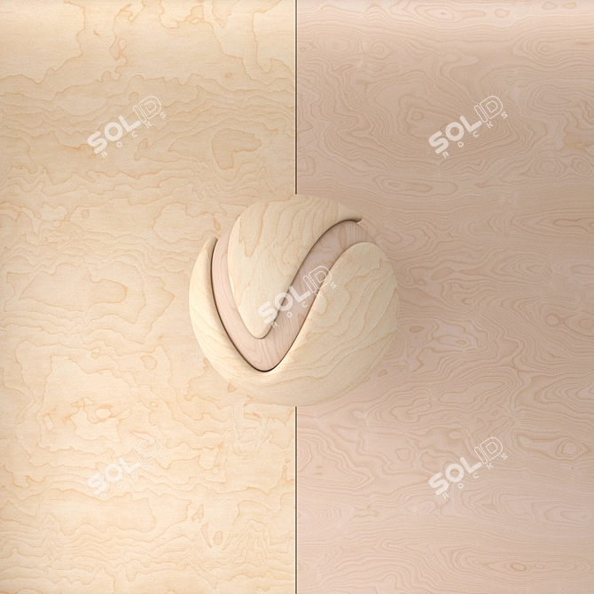 Plywood Texture Bundle - 4 Sheets 3D model image 7