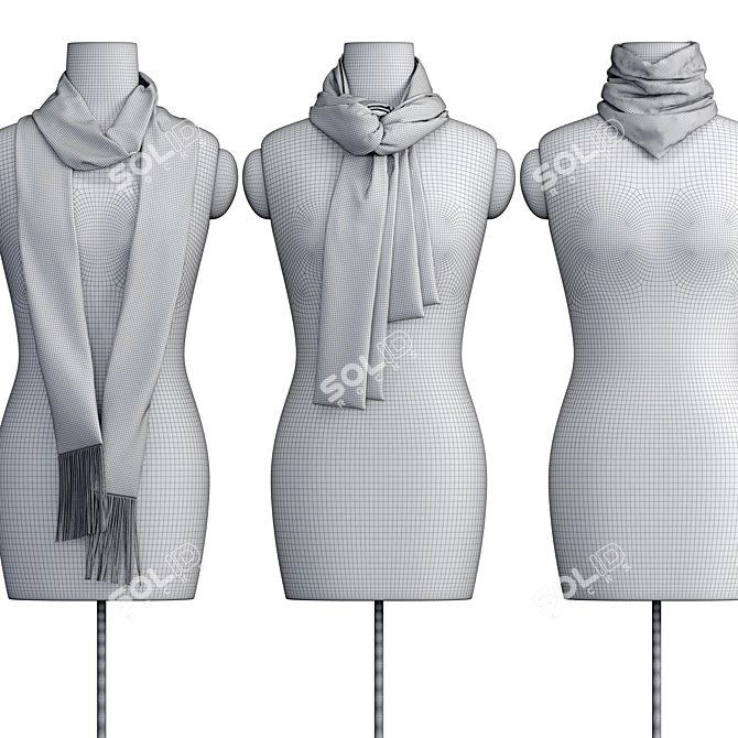 Versatile Shawl Wrap: 3 Variants with Wood and Fabric 3D model image 4