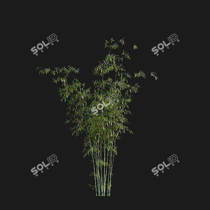 Bamboo 3D Models - Variety of Formats and Textures 3D model image 2