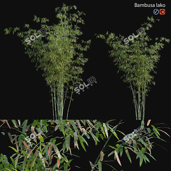 Bamboo Archive - 3D Models & Textures 3D model image 1