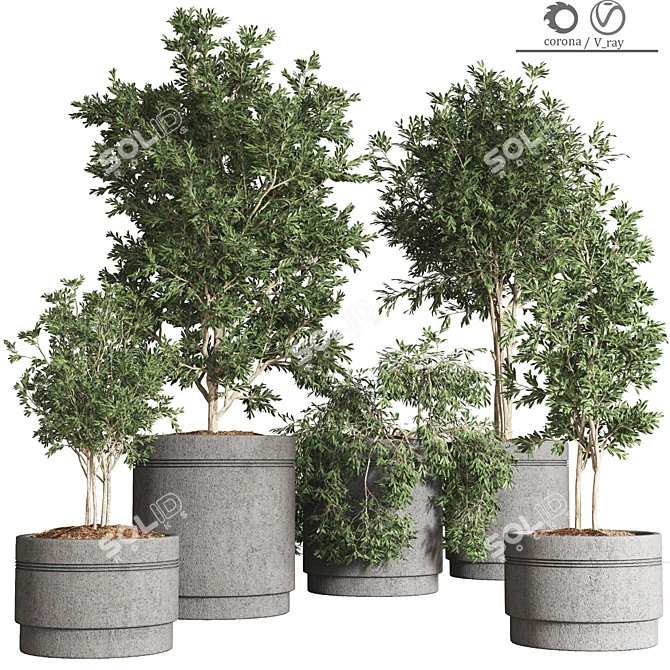 Indoor Plant Collection: 10 Varieties 3D model image 1