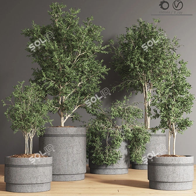 Indoor Plant Collection: 10 Varieties 3D model image 3