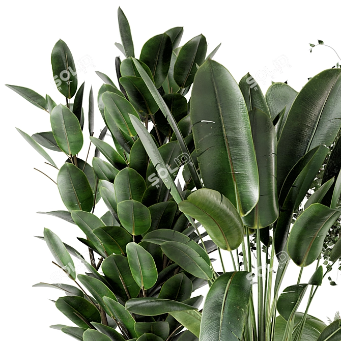 Elegant Cecilia Ficonstone Indoor Planters 3D model image 4