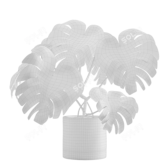 Tropical Charm: Monstera Deliciosa 3D model image 2