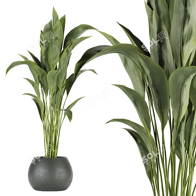 Exquisite Indoor Leaf Paradise for Your Collection 3D model image 3