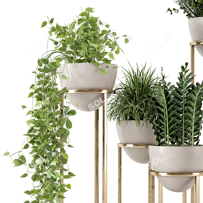 Rusty Concrete Pot Indoor Plants 3D model image 3