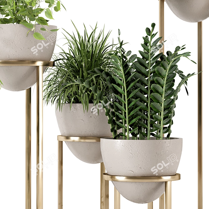 Rusty Concrete Pot Indoor Plants 3D model image 4