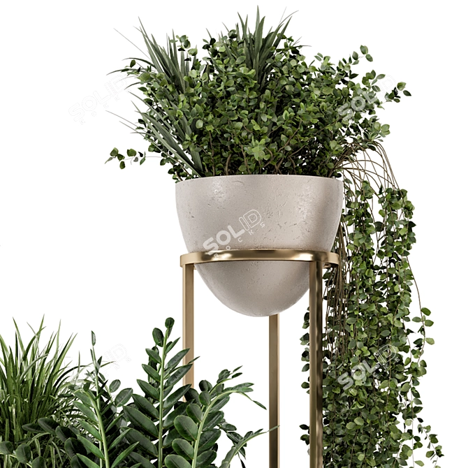 Rusty Concrete Pot Indoor Plants 3D model image 5