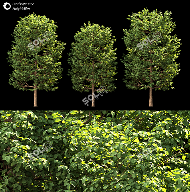  Majestic Land Scape Tree 3D model image 2