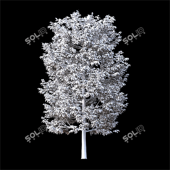  Majestic Land Scape Tree 3D model image 3