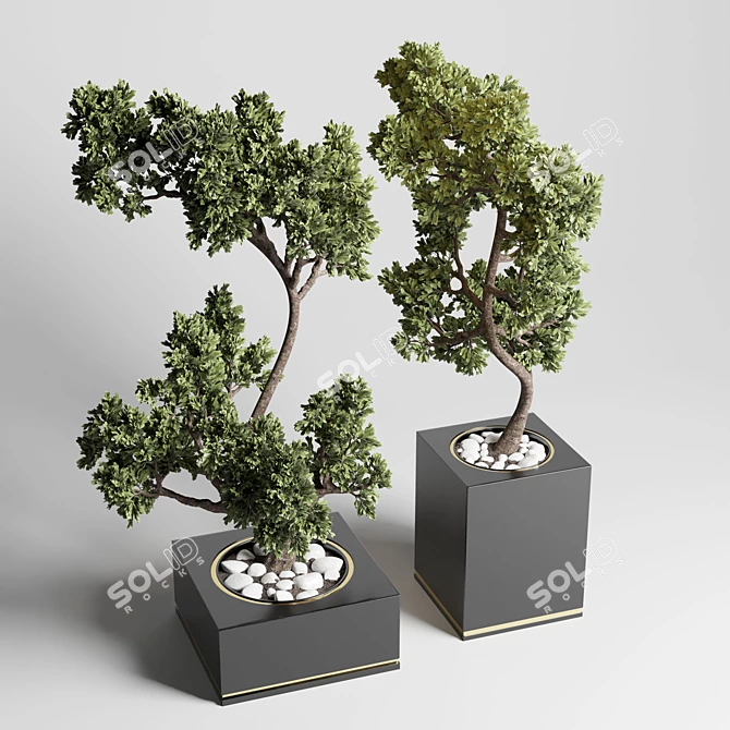 Concrete Bonsai Tree Vase: Indoor Outdoor Plant 3D model image 2