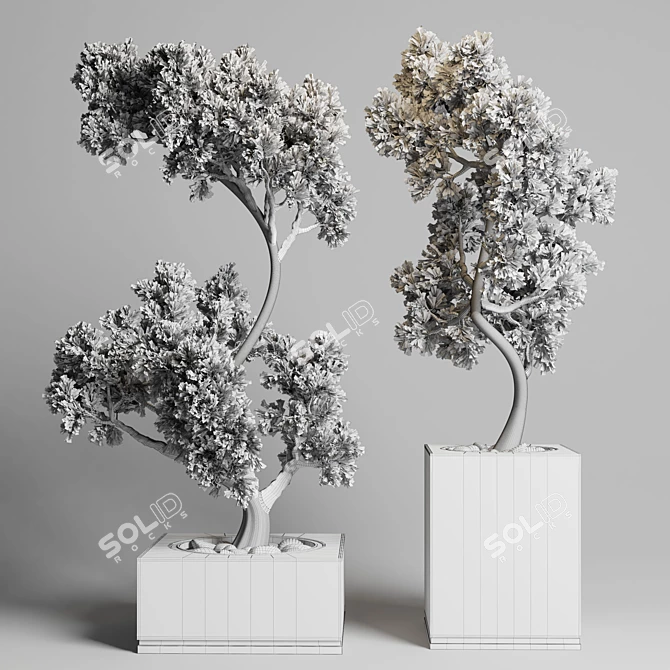 Concrete Bonsai Tree Vase: Indoor Outdoor Plant 3D model image 3