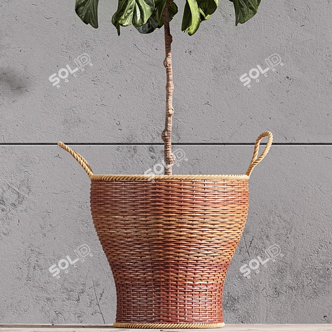 Stylish 2m Indoor Fiddle Leaf Fig 3D model image 3