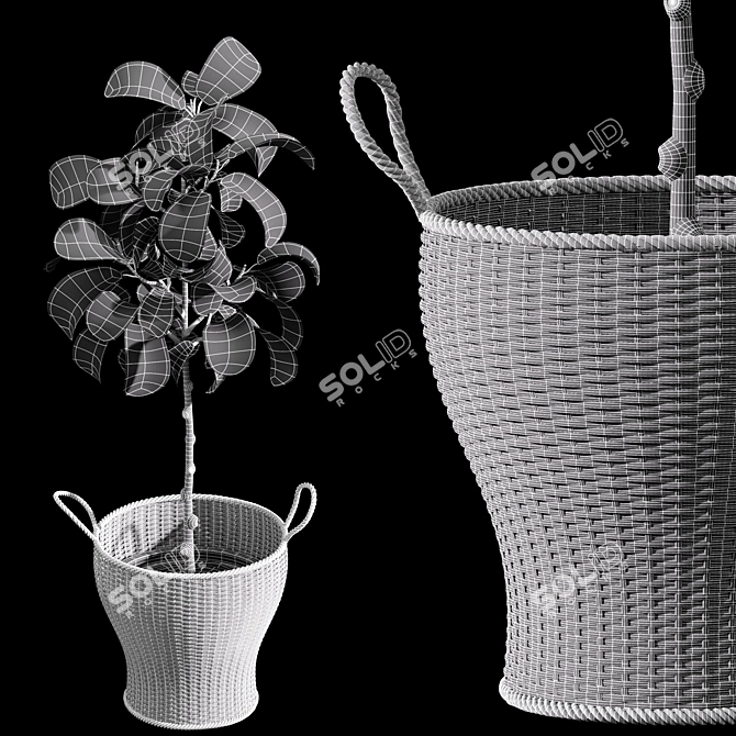 Stylish 2m Indoor Fiddle Leaf Fig 3D model image 5