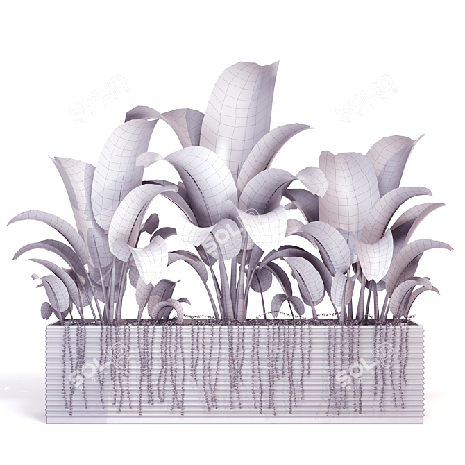Tropical Banana Plant in Flower Pot 3D model image 3