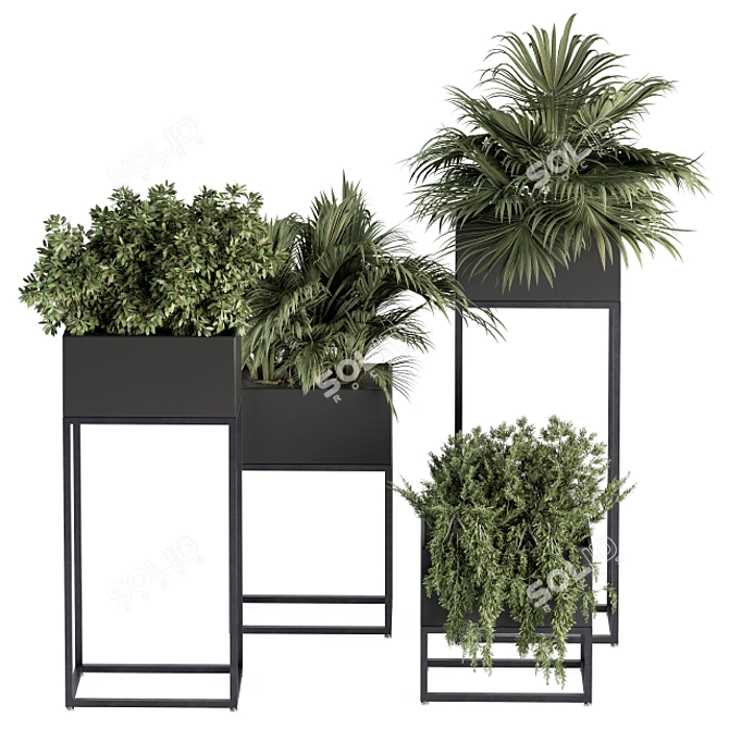 326 Indoor Plant Set - Black Box 3D model image 1