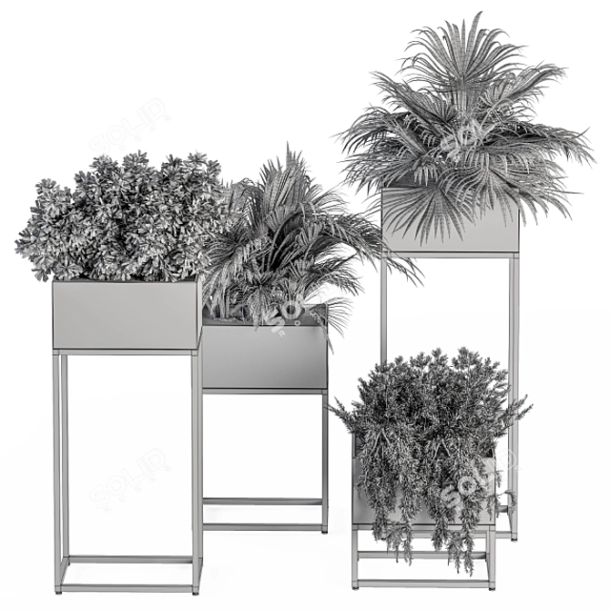 326 Indoor Plant Set - Black Box 3D model image 6