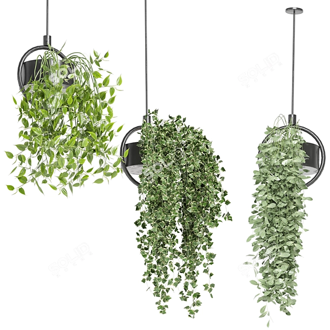 Metal Box Hanging Plants - Set 149 3D model image 1