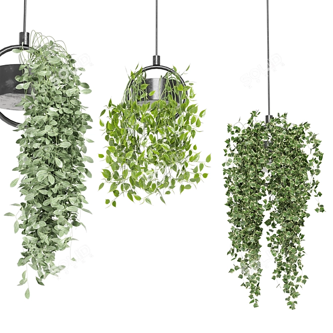 Metal Box Hanging Plants - Set 149 3D model image 2